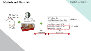Methods and Materials
M; Age:7w
BW 290–310
24 ◦C ± 2 ◦C;
humidity, 50 %)
ApoE knockout – HFD
ApoE knockout – HFD +
swimming exercise
3.10 kcal/g
4.67 kcal/g
1W
Adaptation
12W
Treatment
WT -chow diet
ApoE knockout- Chaw Diet
High Fat and Exercise
 