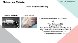 Methods and Materials
Blood biochemical testing
Euthanasia with CO2 Cardiac puncture
Centrifuged at 3,000 rpm /4 °C/ 10 min
Total cholesterol (TC),
Triglyceride (TG),
Low-density lipoprotein cholesterol (LDL-c),
Highdensity lipoprotein cholesterol (HDL-c),
Aspartate aminotransferase (AST),
Alanine aminotransferase (ALT)
High Fat and Exercise
 