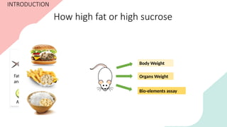 How high fat or high sucrose
food looks like?
INTRODUCTION
Body Weight
Organs Weight
Bio-elements assay
 