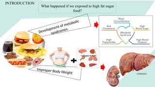 Development of metabolic
syndromes.
Improper Body Weight
Organ weight:
INTRODUCTION
What happened if we exposed to high fat sugar
food?
 