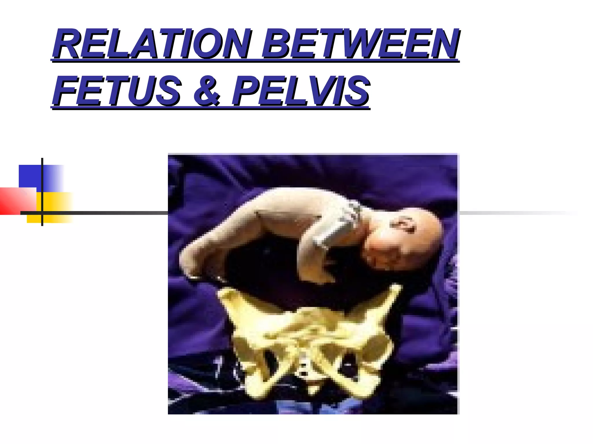 RELATION BETWEEN
FETUS & PELVIS
 