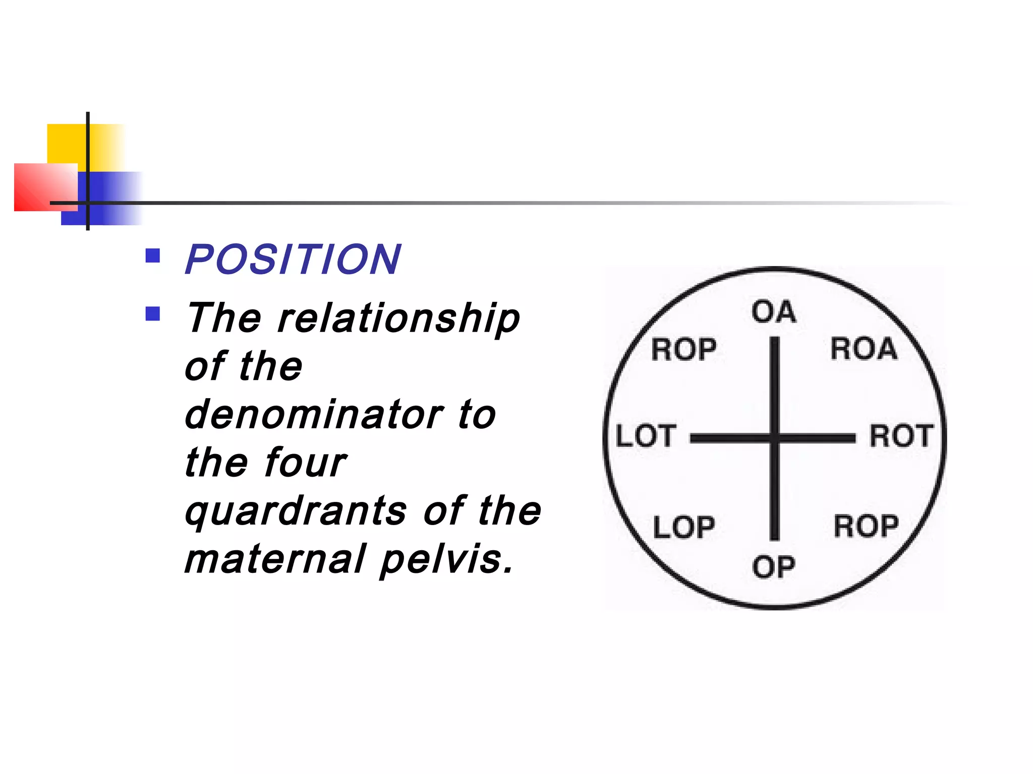    POSITION
   The relationship
    of the
    denominator to
    the four
    quardrants of the
    maternal pelvis.
 
