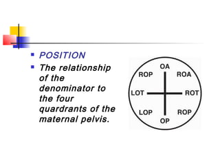    POSITION
   The relationship
    of the
    denominator to
    the four
    quardrants of the
    maternal pelvis.
 