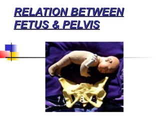 RELATION BETWEEN
FETUS & PELVIS
 