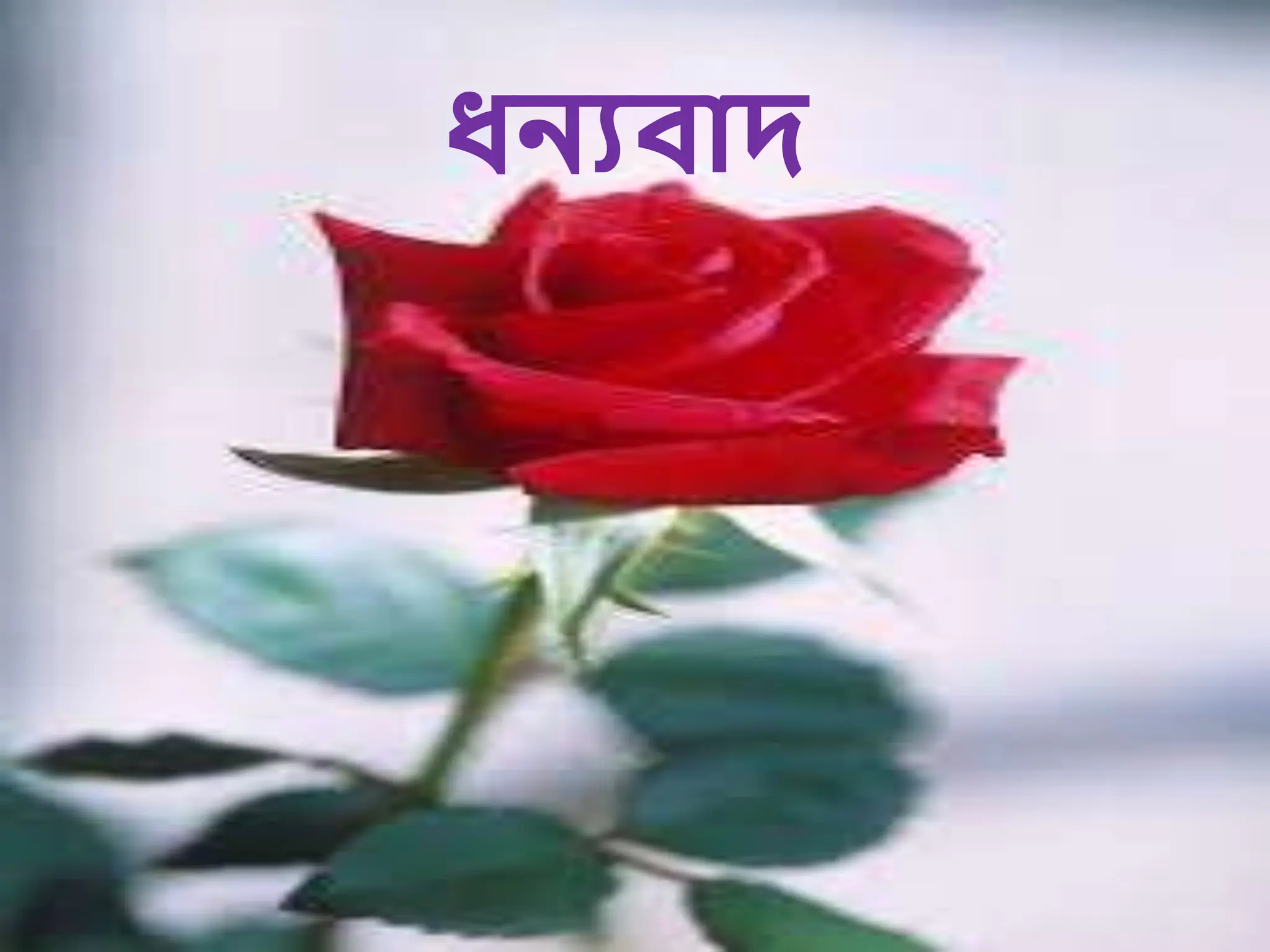 ধ্িযবাদ
 