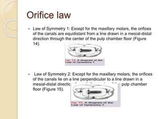 Relation ofaccess cavity design to the canal orifice | PPTX
