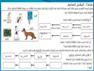 ‫عشبĬu‫أرنب‬u‫ثعلب‬
u‫قمح‬u‫نملة‬
u‫عنكبو‬
‫ت‬
u‫قمح‬u‫فأر‬u‫أفعى‬u‫صقر‬
 