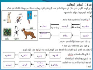 ‫عشبĬu‫أرنب‬u‫ثعلب‬
u‫قمح‬u‫نملة‬
u‫عنكبو‬
‫ت‬
u‫قمح‬u‫فأر‬u‫أفعى‬u‫صقر‬
u‫نباتات‬
‫سمكة‬
‫سردين‬‫قرش‬‫إنسان‬
 