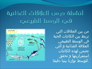 ‫التي‬ ‫العلاقات‬ ‫بين‬ ‫من‬
‫الحية‬ ‫الكائنات‬ ‫بين‬ ‫تربط‬
‫الطبيعي‬ ‫الوسط‬ ‫في‬
‫التي‬ ‫و‬ ‫الغذائية‬ ‫العلاقة‬
‫الكائنات‬ ‫لهذه‬ ‫تضمن‬
‫تحقق‬ ‫و‬ ‫استمراريتها‬
‫داقيقا‬ ‫بيئيا‬ ‫توازنا‬ ‫.للوسط‬
 