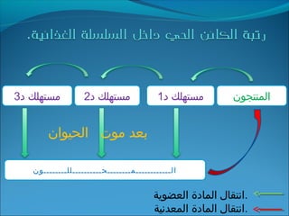 ‫د‬ ‫مستهلك‬3 ‫د‬ ‫مستهلك‬2 ‫د‬ ‫مستهلك‬1 ‫اʤنتجونĬ
‫الــــــــــــمــــــــحــــــــــللــــــــون‬
‫الحيوان‬ ‫موت‬ ‫بعد‬
‫العضوية‬ ‫المادة‬ ‫.انتقال‬
‫المعدنية‬ ‫المادة‬ ‫.انتقال‬
 