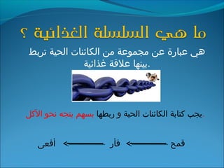 ‫تربط‬ ‫الحية‬ ‫الكائنات‬ ‫من‬ ‫مجموعة‬ ‫عن‬ ‫عبارة‬ ‫هي‬
‫غذائية‬ ‫علاقة‬ ‫.بينها‬
‫ربطها‬ ‫و‬ ‫الحية‬ ‫الكائنات‬ ‫كتابة‬ ‫يجب‬‫الكل‬ ‫نحو‬ ‫يتجه‬ ‫بسهم‬ .
‫اقمح‬‫فأر‬‫أفعى‬
 