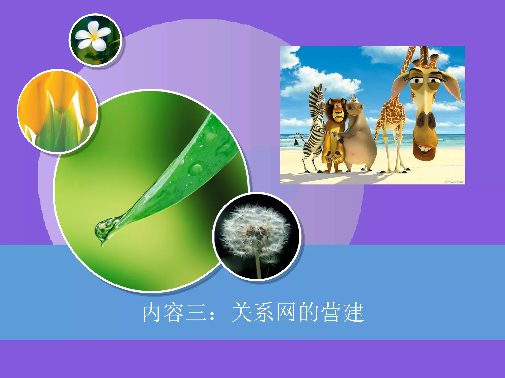 内容三：关系网的营建 