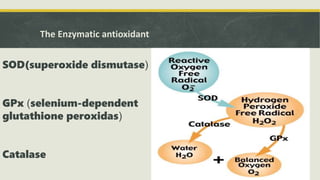 The Enzymatic antioxidant
SOD(superoxide dismutase(
GPx (selenium-dependent
glutathione peroxidas(
Catalase
 