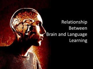 RelationshipBetweenBrain and LanguageLearning 