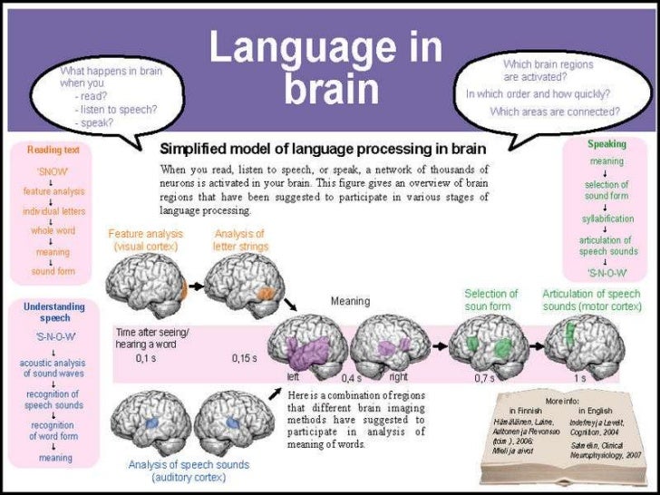 Language and the Brain