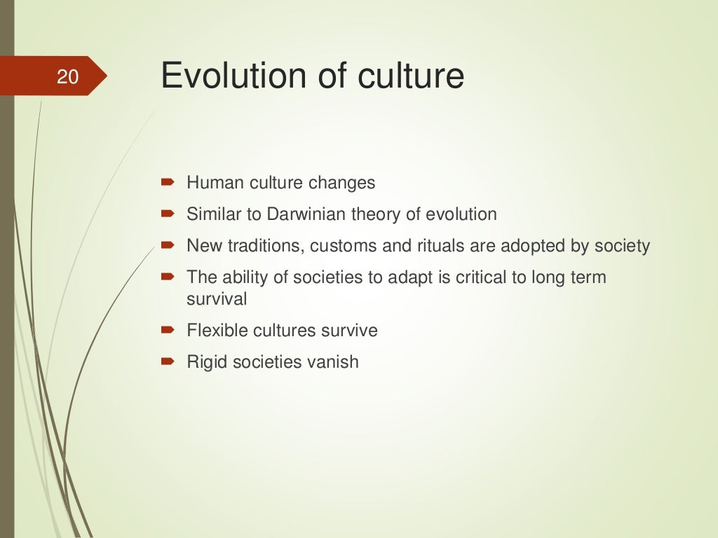 Relationship Between Culture And Society