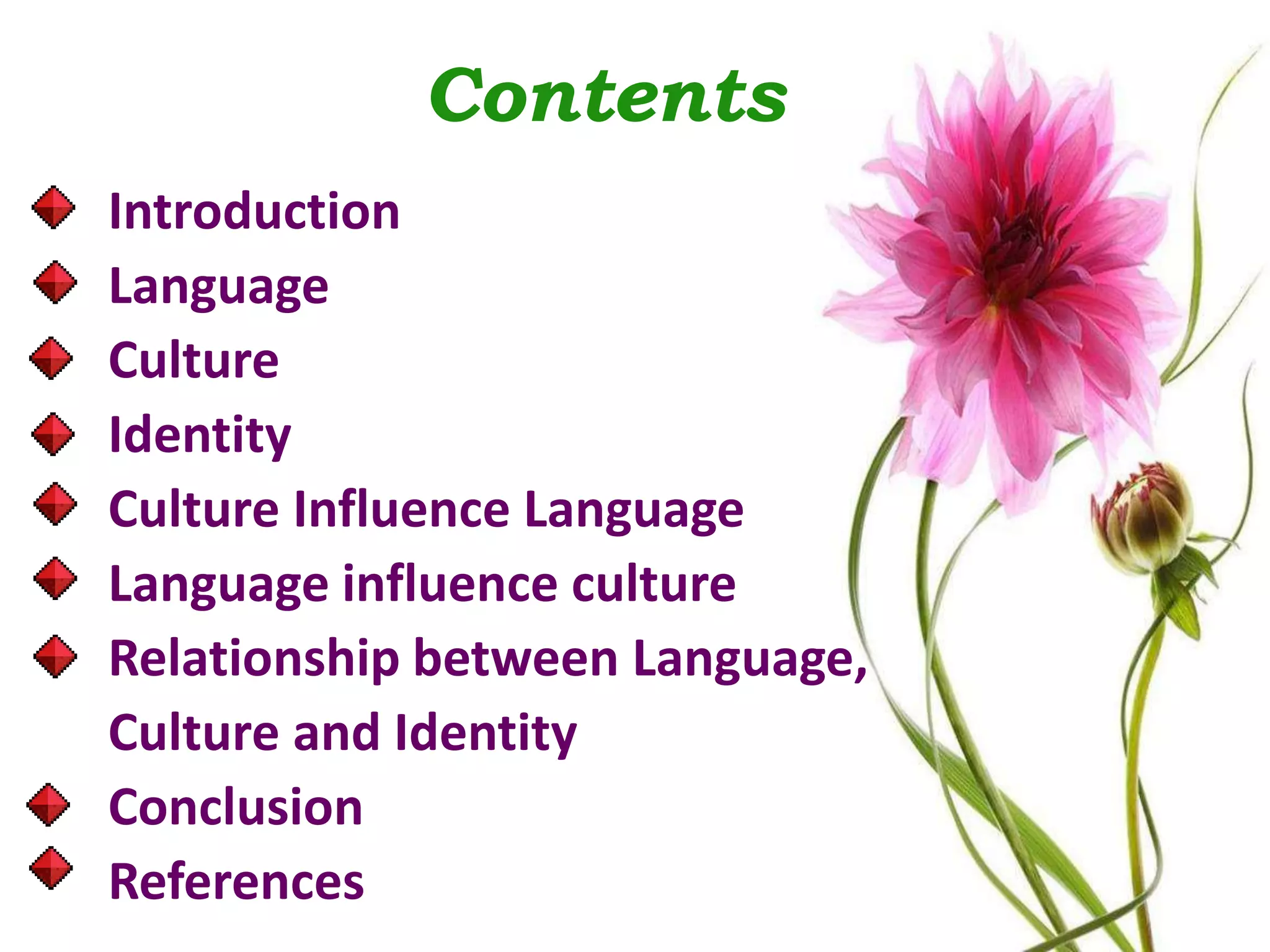 Contents
Introduction
Language
Culture
Identity
Culture Influence Language
Language influence culture
Relationship between Language,
Culture and Identity
Conclusion
References
 