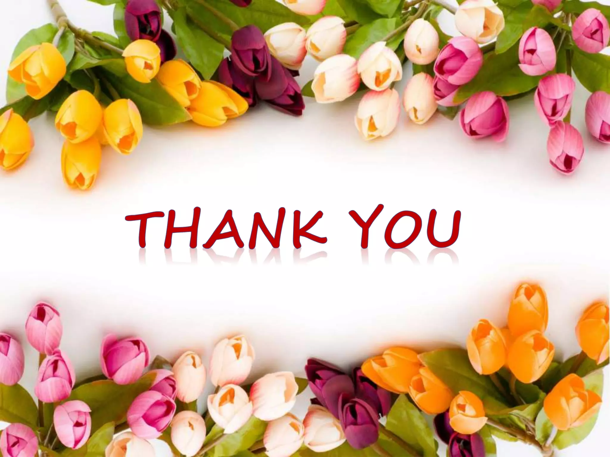 Relationship between language, culture, and identity