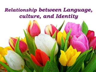 Relationship between Language,
culture, and Identity
 
