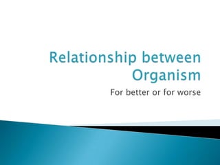 Relationship between Organism  For better or for worse 