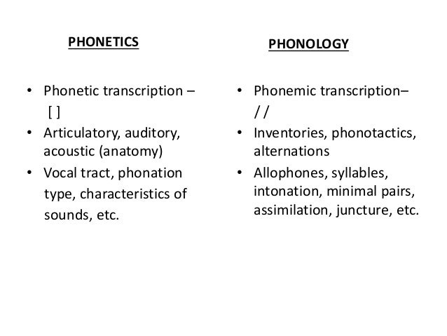 the relationship between semantic memory and language production One of the first examples of a network model of semantic memory is the teachable language relationship between of semantic knowledge, semantic memory. the relationship between semantic memory and language production One of the first examples of a network model of semantic memory is the teachable language relationship between of semantic knowledge, semantic memory.