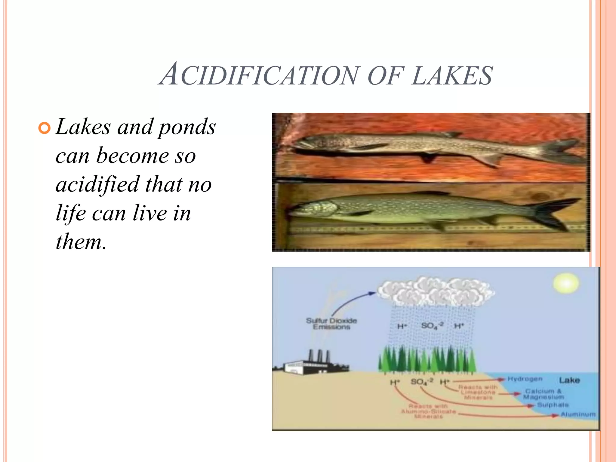 ACIDIFICATION OF LAKES
 Lakes and ponds
can become so
acidified that no
life can live in
them.
 