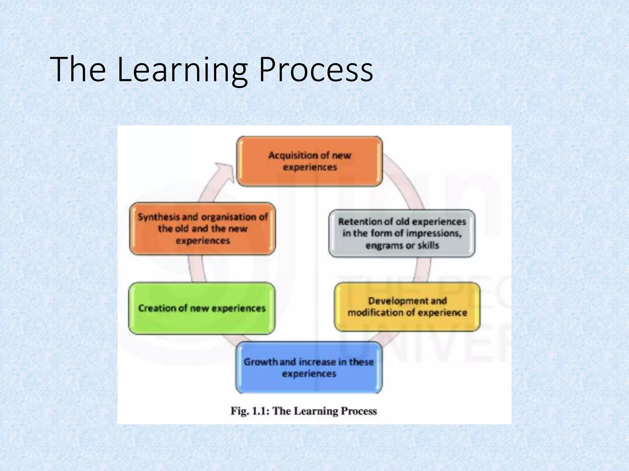 The Learning Process
 