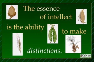 The essence
             of intellect
is the ability
                     to make

       distinctions.
 