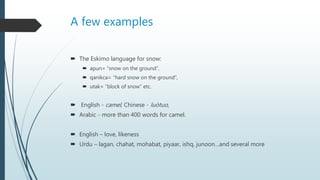 A few examples
 The Eskimo language for snow:
 apun= “snow on the ground”,
 qanikca= “hard snow on the ground”,
 utak= “block of snow” etc.
 English - camel, Chinese - luòtuo,
 Arabic - more than 400 words for camel.
 English – love, likeness
 Urdu – lagan, chahat, mohabat, piyaar, ishq, junoon…and several more
 