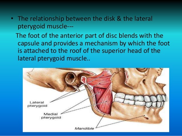 Relationship of tmj anatomy and pathology and related