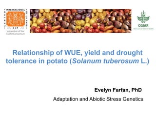 Relationship of WUE, yield and drought
tolerance in potato (Solanum tuberosum L.)
Evelyn Farfan, PhD
Adaptation and Abiotic Stress Genetics
 