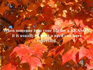 When someone is in your life for a REASON, it is usually to meet a need you have expressed. 