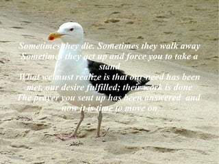 They are there for the Reason you need them to be. 