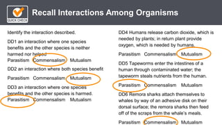 *
Recall Interactions Among Organisms
DD4 Humans release carbon dioxide, which is
needed by plants; in return plant provide
oxygen, which is needed by humans.
Parasitism Commensalism Mutualism
DD5 Tapeworms enter the intestines of a
human through contaminated water; the
tapeworm steals nutrients from the human.
Parasitism Commensalism Mutualism
DD6 Remora sharks attach themselves to
whales by way of an adhesive disk on their
dorsal surface; the remora sharks then feed
off of the scraps from the whale’s meals.
Parasitism Commensalism Mutualism
Identify the interaction described.
DD1 an interaction where one species
benefits and the other species is neither
harmed nor helped
Parasitism Commensalism Mutualism
DD2 an interaction where both species benefit
Parasitism Commensalism Mutualism
DD3 an interaction where one species
benefits and the other species is harmed.
Parasitism Commensalism Mutualism
 