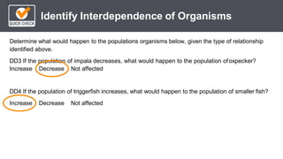*
Identify Interdependence of Organisms
Determine what would happen to the populations organisms below, given the type of relationship
identified above.
DD3 If the population of impala decreases, what would happen to the population ofoxpecker?
Increase Decrease Not affected
DD4 If the population of triggerfish increases, what would happen to the population of smaller fish?
Increase Decrease Not affected
 