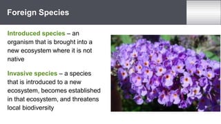 Introduced species – an
organism that is brought into a
new ecosystem where it is not
native
Invasive species – a species
that is introduced to a new
ecosystem, becomes established
in that ecosystem, and threatens
local biodiversity
Foreign Species
 