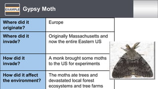 Gypsy Moth
Where did it
originate?
Europe
Where did it
invade?
Originally Massachusetts and
now the entire Eastern US
How did it
invade?
A monk brought some moths
to the US for experiments
How did it affect
the environment?
The moths ate trees and
devastated local forest
ecosystems and tree farms
 