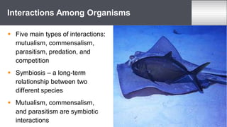 Five main types of interactions:
mutualism, commensalism,
parasitism, predation, and
competition
 Symbiosis – a long-term
relationship between two
different species
 Mutualism, commensalism,
and parasitism are symbiotic
interactions
Interactions Among Organisms
 