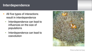  All five types of interactions
result in interdependence
• Interdependence can lead to
influences on the size of
populations
• Interdependence can lead to
coevolution
Interdependence
Photo by Bart de Goeij
 