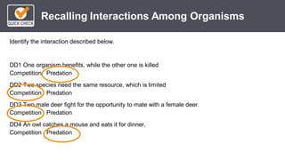 *
Recalling Interactions Among Organisms
Identify the interaction described below.
DD1 One organism benefits, while the other one is killed
Competition Predation
DD2 Two species need the same resource, which is limited
Competition Predation
DD3 Two male deer fight for the opportunity to mate with a female deer.
Competition Predation
DD4 An owl catches a mouse and eats it for dinner.
Competition Predation
 