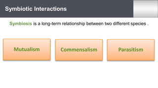 Symbiosis is a long-term relationship between two different species .
Symbiotic Interactions
Mutualism Commensalism Parasitism
 