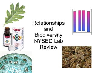Relationships and Biodiversity NYSED Lab Review 
