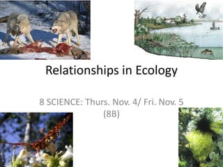Relationships in Ecology
8 SCIENCE: Thurs. Nov. 4/ Fri. Nov. 5
(8B)
 