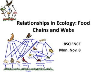 Relationships in Ecology: Food
Chains and Webs
8SCIENCE
Mon. Nov. 8
 