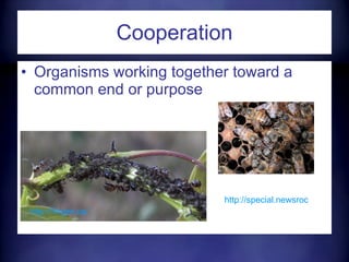 Cooperation Organisms working together toward a common end or purpose  http://forger.ca/   http://special.newsroom.msu.edu   