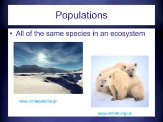 Populations All of the same species in an ecosystem www.nkf-mt.org.uk   www.intrasystems.gr   