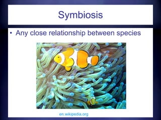 Symbiosis Any close relationship between species en.wikipedia.org   