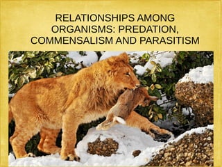 RELATIONSHIPS AMONG
ORGANISMS: PREDATION,
COMMENSALISM AND PARASITISM
