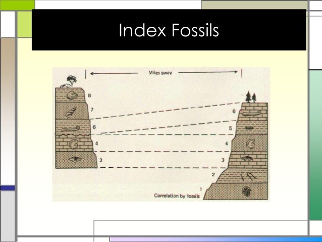 Dating index fossils