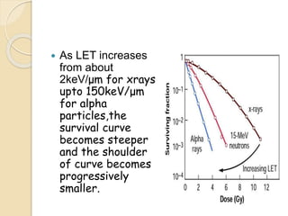  As LET increases
from about
2keV/μm for xrays
upto 150keV/μm
for alpha
particles,the
survival curve
becomes steeper
and the shoulder
of curve becomes
progressively
smaller.
 